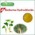 Berberine hydrochloride 97% herb extract